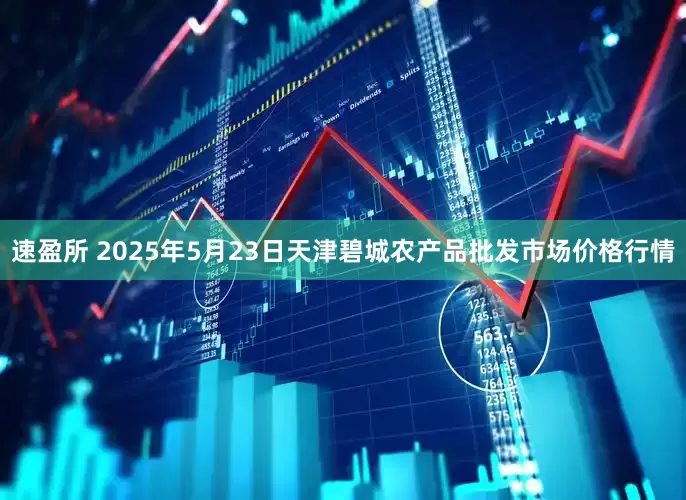 速盈所 2025年5月23日天津碧城农产品批发市场价格行情