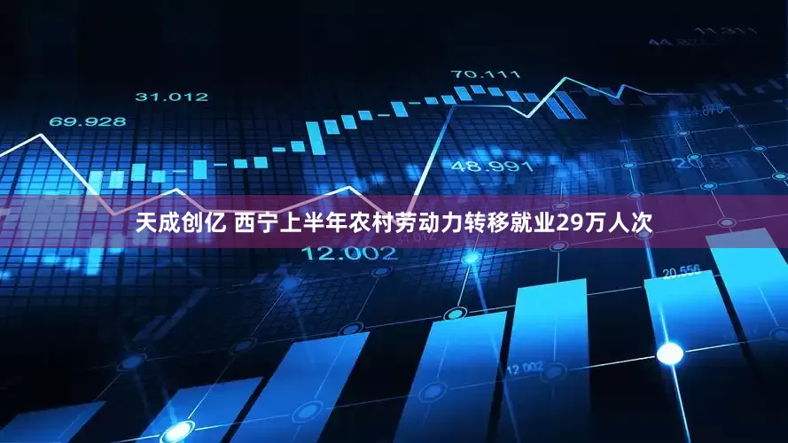 天成创亿 西宁上半年农村劳动力转移就业29万人次